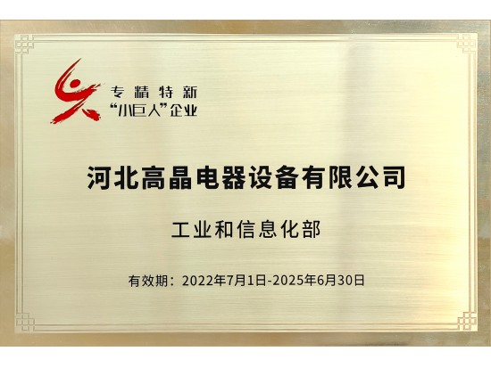 專精特新小巨人企業(yè)